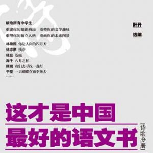 叶开：不敢冒犯世俗趣味的诗人通常是庸常之辈